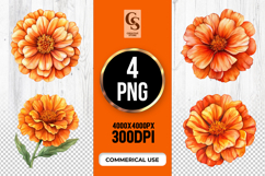 Orange Marigold Flower Clipart Sublimation PNG Product Image 1