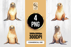 Watercolor Sea Lion Illustration Clipart Sublimation PNG Product Image 1