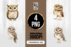 Cute Owl Watercolor Clipart Sublimation PNG Product Image 1