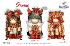 About Vintage Carnival Masked Gnomes Graphic Product Image 1