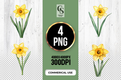 Yellow Daffodil Flower Clipart Sublimation PNG Product Image 1