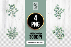 Watercolor Eucalyptus Leaves Clipart Sublimation PNG Product Image 1