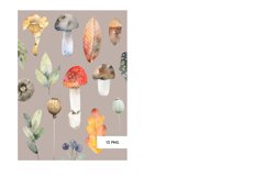 Mushroom illustrations Watercolor fall clipart Hello autumn Product Image 2