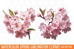 Watercolor Spring Clipart, Hello Spring Clipart Product Image 2