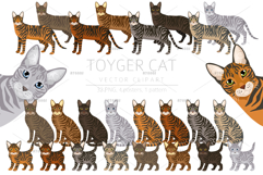 Toyger Cat clipart Product Image 1