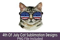 4th Of July Cat Sublimation Bundle Product Image 2