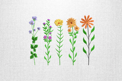 Colorful Wildflower Stems Embroidery Design Product Image 1