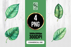 Watercolor Green Leaves Clipart Sublimation PNG Product Image 1