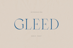 Gleed Elegant Modern Serif Font Product Image 1