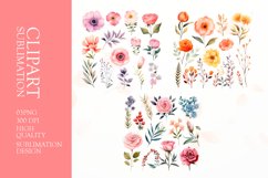 Watercolor floral Flower Clipart Sublimation Product Image 1
