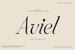 Aviel Elegant Expressive Serif Font Product Image 1