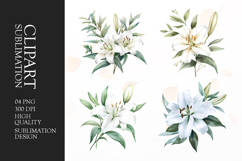 White Lily Flower Set Clipart Sublimation PNG Product Image 1
