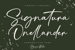 Signatura Onellander a Handwritten Font Product Image 1