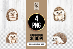 Cute Baby Hedgehog Clipart Sublimation PNG Product Image 1