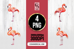 Pink Flamingo Bird Illustration Clipart Sublimation PNG Product Image 1