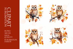 Watercolor owl clipart sublimation png Product Image 1
