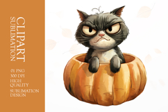 Grumpy angry cat watercolor clipart sublimation Product Image 1