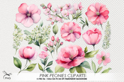 Pink peonies cliparts Product Image 1