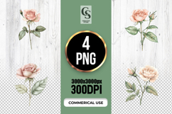 Blush Pink Rose Clipart Sublimation PNG Product Image 1