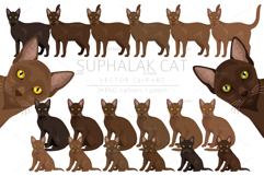 Suphalak cat clipart Product Image 1
