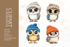 Watercolor owl clipart sublimation png Product Image 1