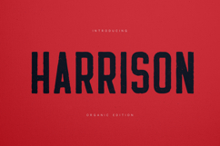 Harrison Organic Bold Display Font Product Image 1