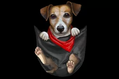 Jeck Russell png pocket jack russell 3 png Product Image 6