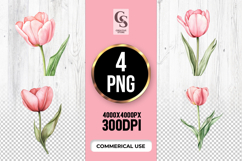 Blush Pink Tulip Flower Sublimation Clipart PNG Product Image 1