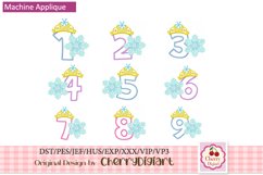 Frozen snowflake Numbers machine embroidery bundle 21101 Product Image 1