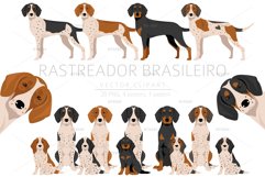 Rastreador Brasileiro clipart Product Image 1