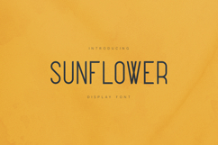 Sunflower Warm Minimal Display Sans Serif Font Product Image 1