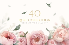 40 Watercolor Rose Peony Clipart PNG, Rose Flower Clipart Product Image 1