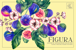 Fig Plant Watercolor clipart Product Image 1