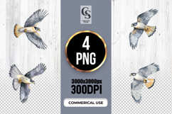 Peregrine Falcon Bird Illustration Clipart Sublimation PNG Product Image 1