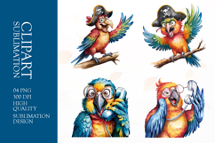 Grumpy Parrot watercolor clipart sublimation Product Image 1