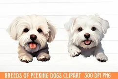 Breeds Of Peeking Dogs Clipart, Breeds of Peeking Dogs PNG Product Image 1