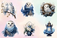 Christmas Snowy Owls Garden Clipart Bundle, Christmas Snowy Product Image 2