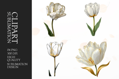White Magnolia Botanical Clipart Sublimation PNG Product Image 1