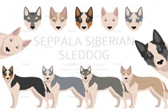 Seppala Siberian Sleddog clipart Product Image 1