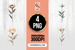 Vintage Wildflower Stem Clipart Sublimation PNG Product Image 1