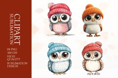 Watercolor owl clipart sublimation png Product Image 1