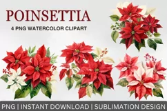 Christmas poinsettia, Flowers Watercolor Clipart Product Image 1