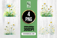Wild Meadow Daisy Watercolor PNG Product Image 1