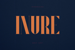 Inure Elegant Modern Serif Font Product Image 1