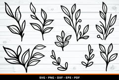 Leaf Outline SVG, Leaves SVG, Branches SVG, Botanical Product Image 1