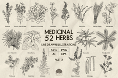 Medicinal herbs Part 2 Svg Png Eps Product Image 1