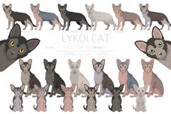 Lykoi cat clipart Product Image 1
