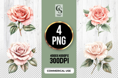 Blush Rose Flower Clipart Sublimation PNG Product Image 1