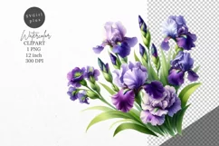 Irises clipart, Flowers clipart, Flowers sublimation Product Image 1