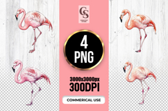 Watercolor Flamingo Clipart Sublimation PNG Product Image 1